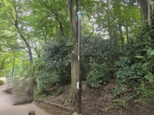 令和8年10月　井の頭恩賜公園　公園灯灯具復旧工事